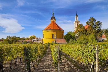 Small Carpathian wine tour from Bratislava